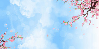 春暖花开蓝色粉色唯美感春天花天空桃花桃花展板背景